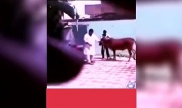 爆料视频搞笑大全,搞笑大全，笑点满满，笑到肚子疼！